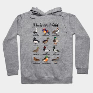 Different ducks - types of ducks Hoodie